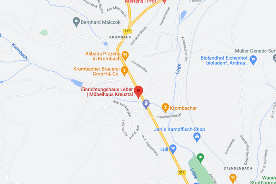 micropage maps leber